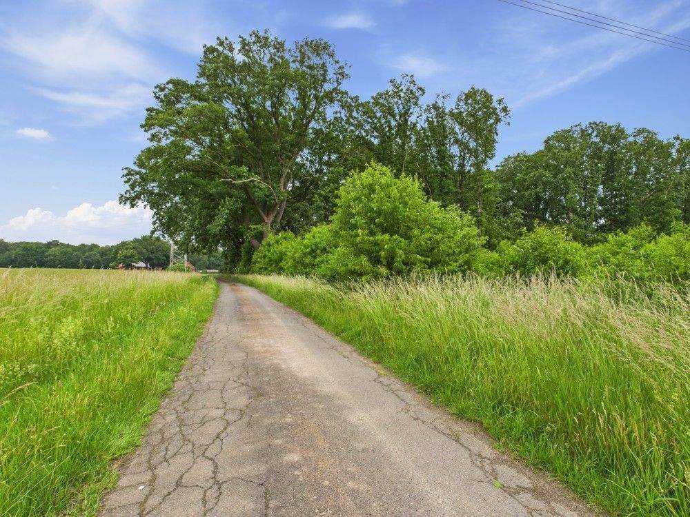Immobilie in Steyerberg - Großes Bauernhaus in ruhiger Lage mit sanierter Wohnung und XXL Ausbaureserve und Wald - Bild 5