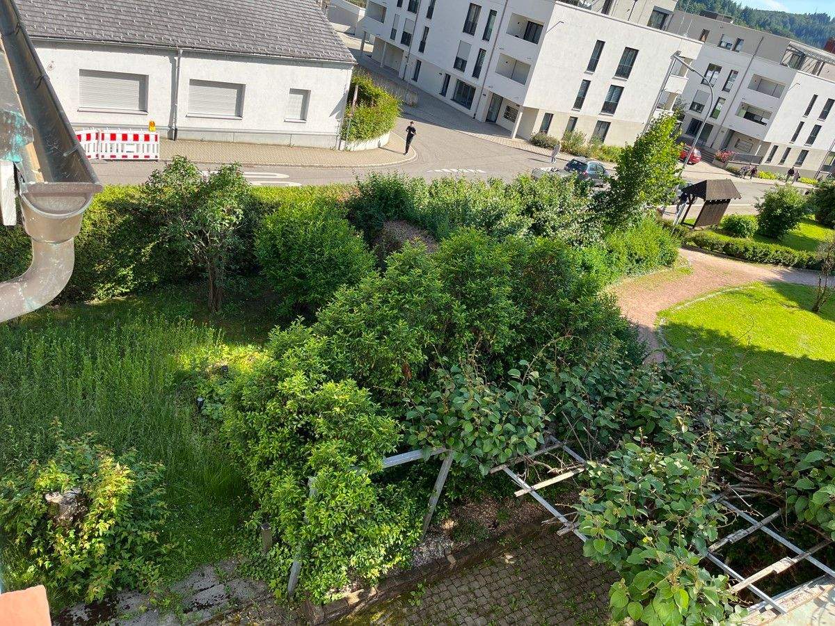 Immobilie in Zell im Wiesental - Historisches Anwesen in zentraler Lage - Bild 5