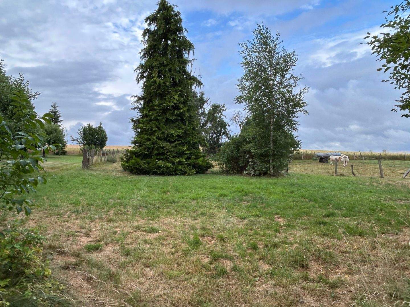 Immobilie in Borgentreich - Vielseitiges Wohnhaus mit großzügigem Anwesen am Rande von Rösebeck - Bild 12