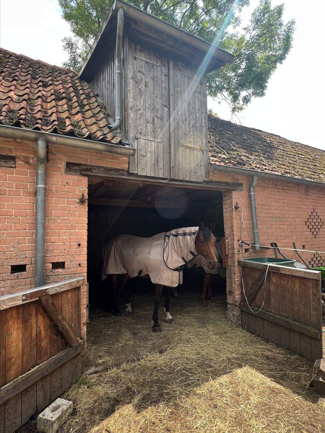 Immobilie in Trebel - "Landleben deluxe im Wendland"- Historische Hofstelle an der Nemitzer Heide" - Bild 36