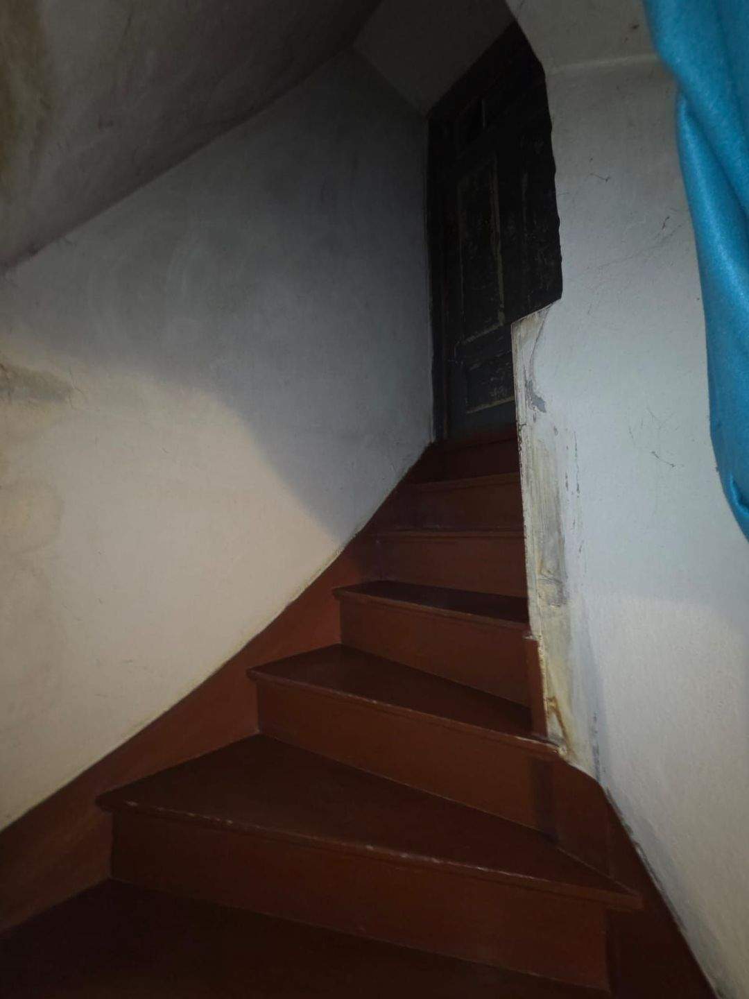 Immobilie in Elsteraue - Einfamilienwohnhaus in Reuden - Bild 35