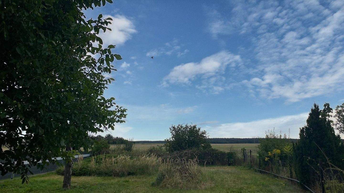 Immobilie in Beilrode - Kleines Haus in ruhiger Lage - Bild 5