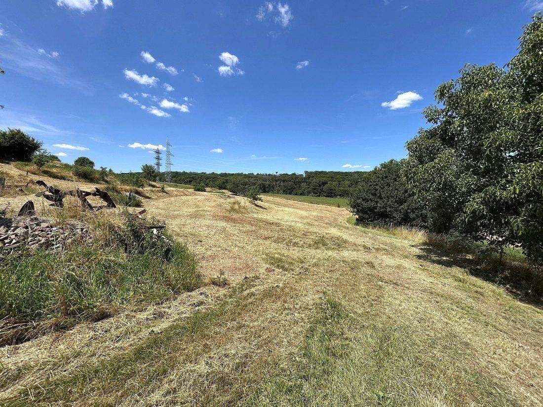 Immobilie in Altrich - zwei Wohnhäuser und rd. 20.000 qm Land direkt am Haus (Nähe zur Stadt Wittlich 5 km) - Bild 30