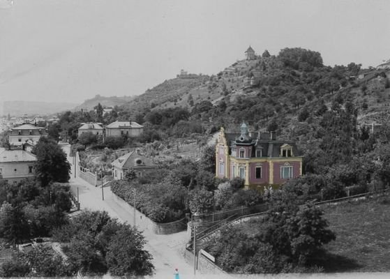 historische Aufnahme Villa Talblick am Weinberg