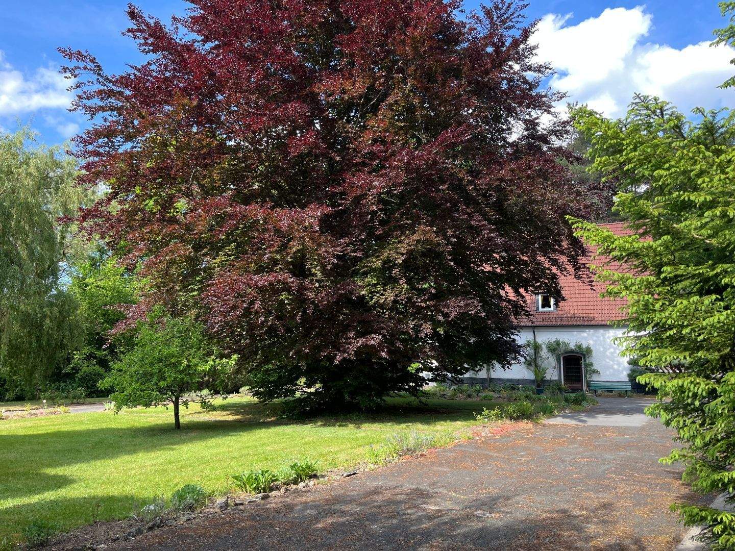 Immobilie in Mistelbach - Leben mit Stil auf repräsentativen Anwesen mit parkähnlicher Außenanlage südwestlich von Bayreuth - Bild 18