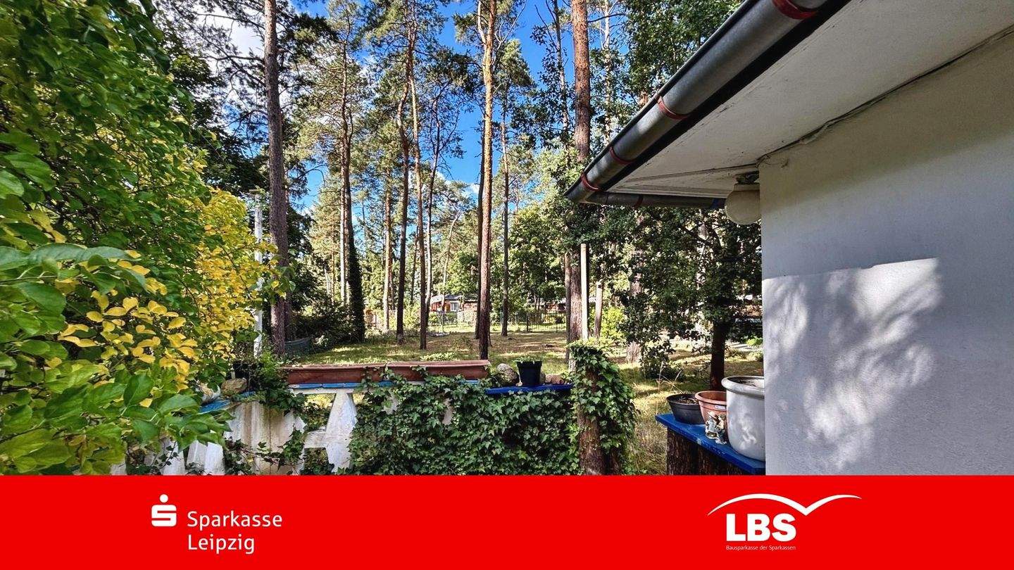 Immobilie in Zschepplin - Gestalten Sie Ihr Refugium im Grünen! - Bild 0