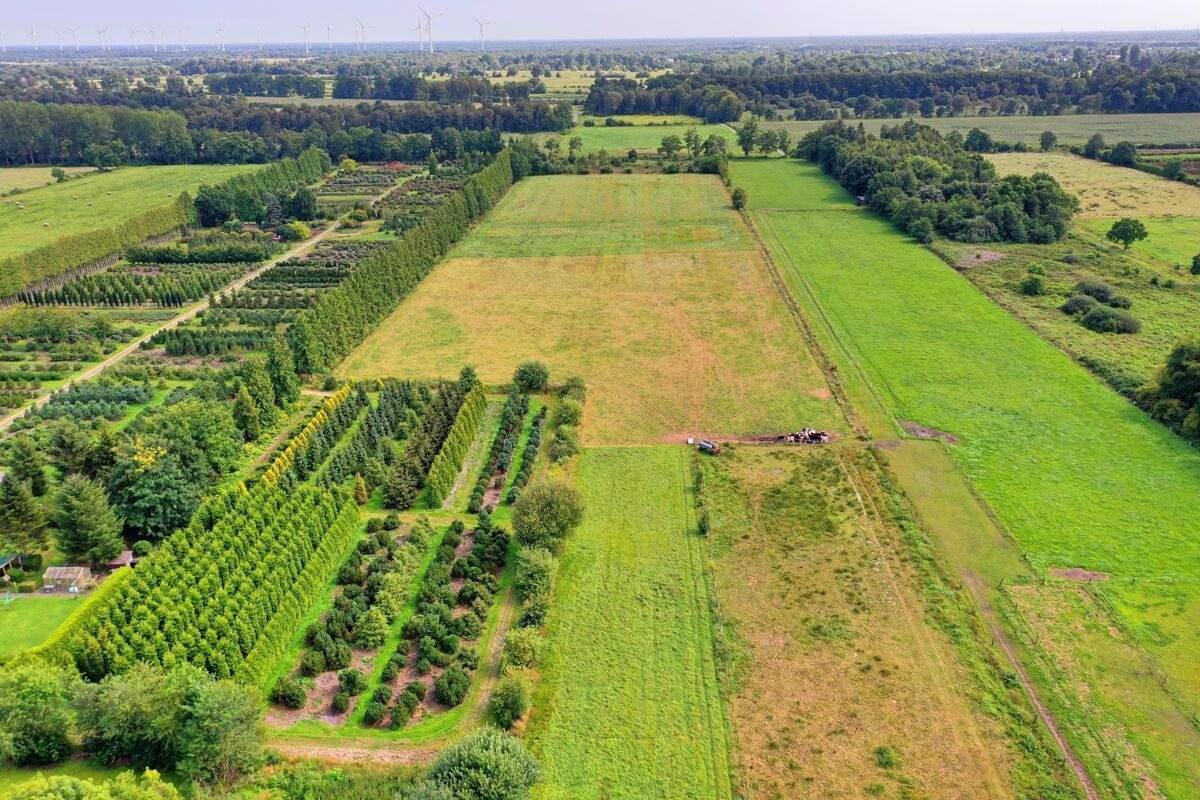 Immobilie in Wiesmoor - Teilsaniertes Landhaus mit Einliegerwohnung, Nebengebäude und über 4 ha Weideland in Wiesmoor - Bild 38