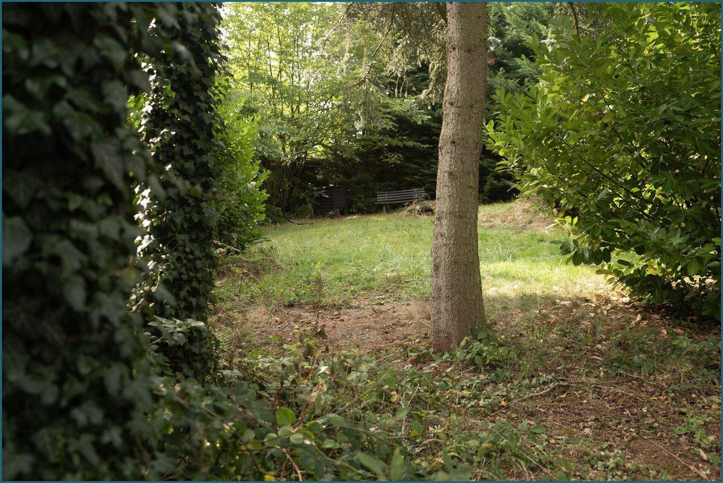 Immobilie in Mansfeld - Charmantes "Tiny House" für Naturliebhaber - Bild 8