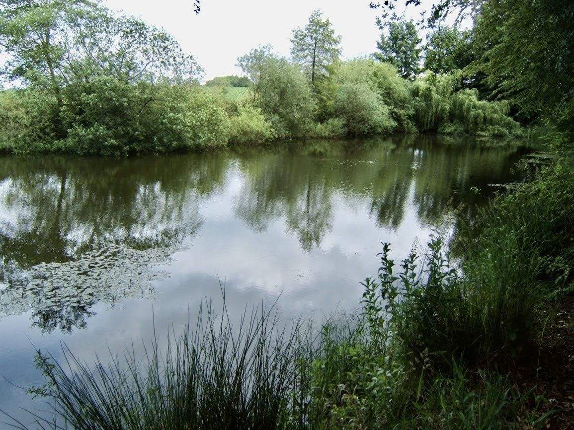 Immobilie in Bastorf - Schlossflair & Strandnähe vereint - stilvolles 2-Zi-Appartement nahe Kühlungsborn & Rerik! - Bild 31