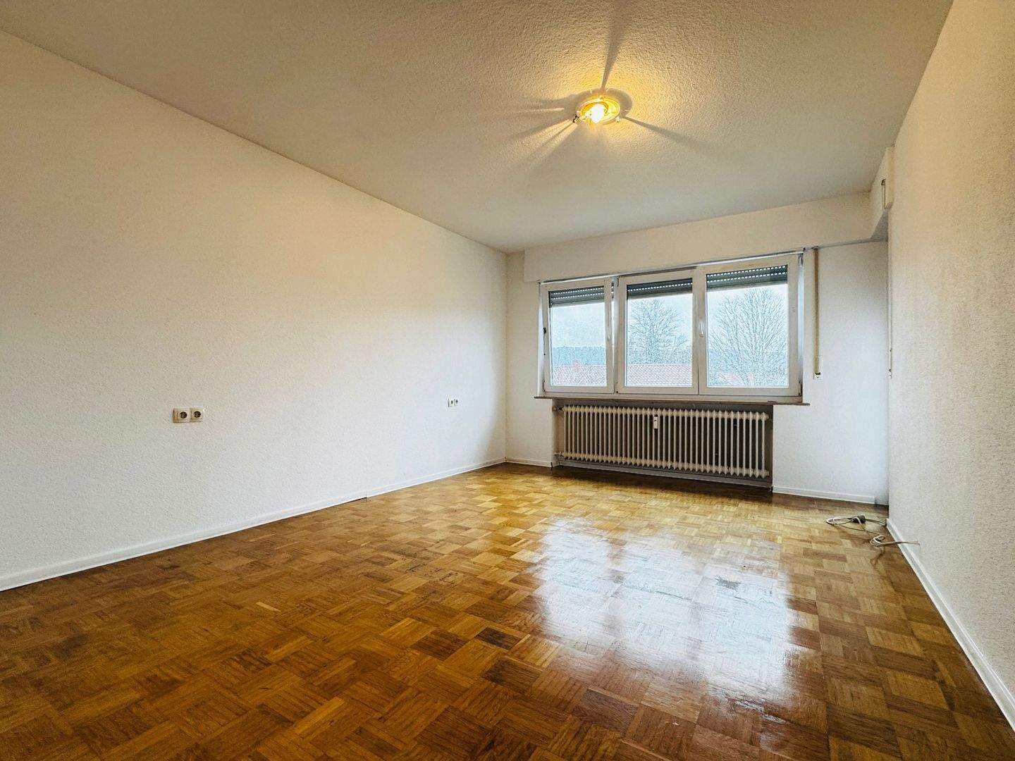 Immobilie in Gottmadingen - 4-Zimmer-Wohnung mit Balkon, Garage, Stellplatz & Garten in Gottmadingen - Bild 3