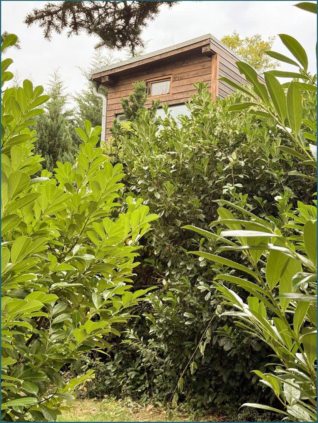 Immobilie in Mansfeld - Charmantes "Tiny House" für Naturliebhaber - Bild 5