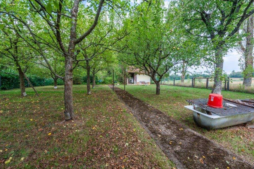 Immobilie in Losheim am See - Die Schachenstraße 14 in Losheim am See kann zum 3-Familienhaus für Sanierer und Pferdefans werden - Bild 4