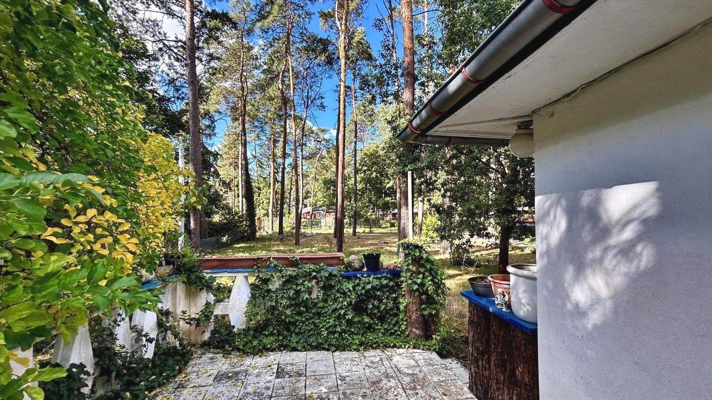 Immobilie in Zschepplin - Gestalten Sie Ihr Refugium im Grünen! - Bild 1