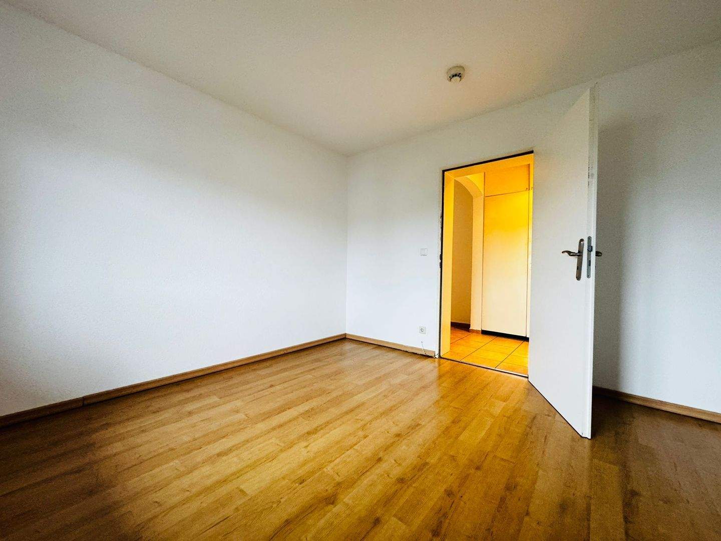 Immobilie in Gottmadingen - 4-Zimmer-Wohnung mit Balkon, Garage, Stellplatz & Garten in Gottmadingen - Bild 2