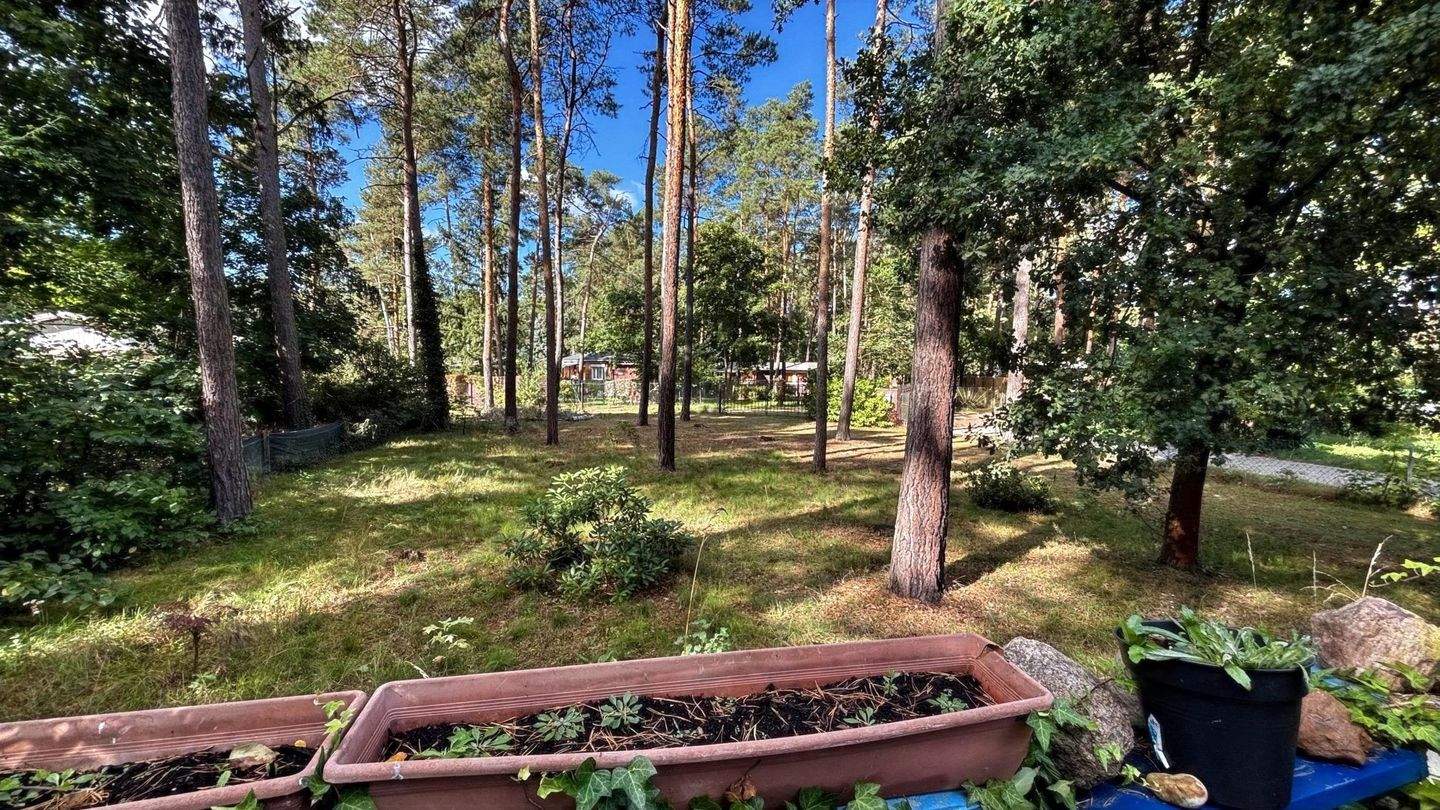 Immobilie in Zschepplin - Gestalten Sie Ihr Refugium im Grünen! - Bild 6