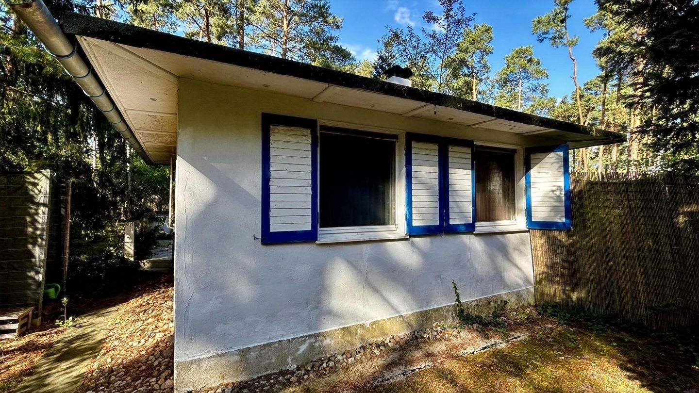 Immobilie in Zschepplin - Gestalten Sie Ihr Refugium im Grünen! - Bild 15