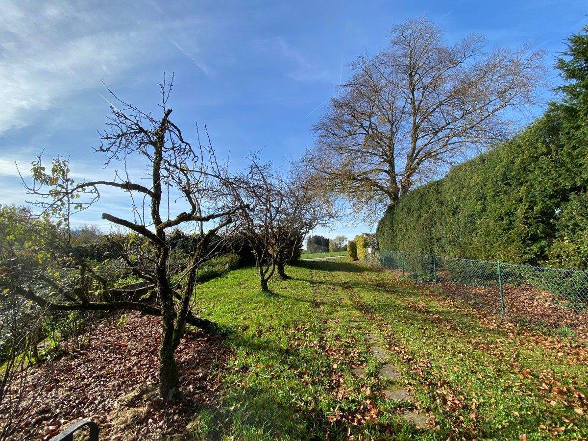 Immobilie in Rimsting - Prien am Chiemsee: Älteres EFH m. ca. 1.650 m2 Grund in herrlicher Randlage m. Berg- u. Seeblick! - Bild 9