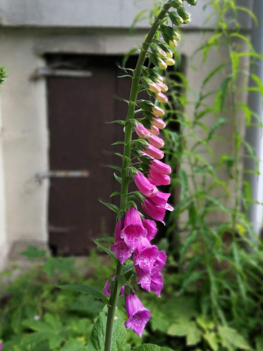 Immobilie in Suhl - Wohnen inmitten der Ski- und Wanderregion Suhl-Goldauter - Ihre Bauideen sind realisierbar - Bild 16