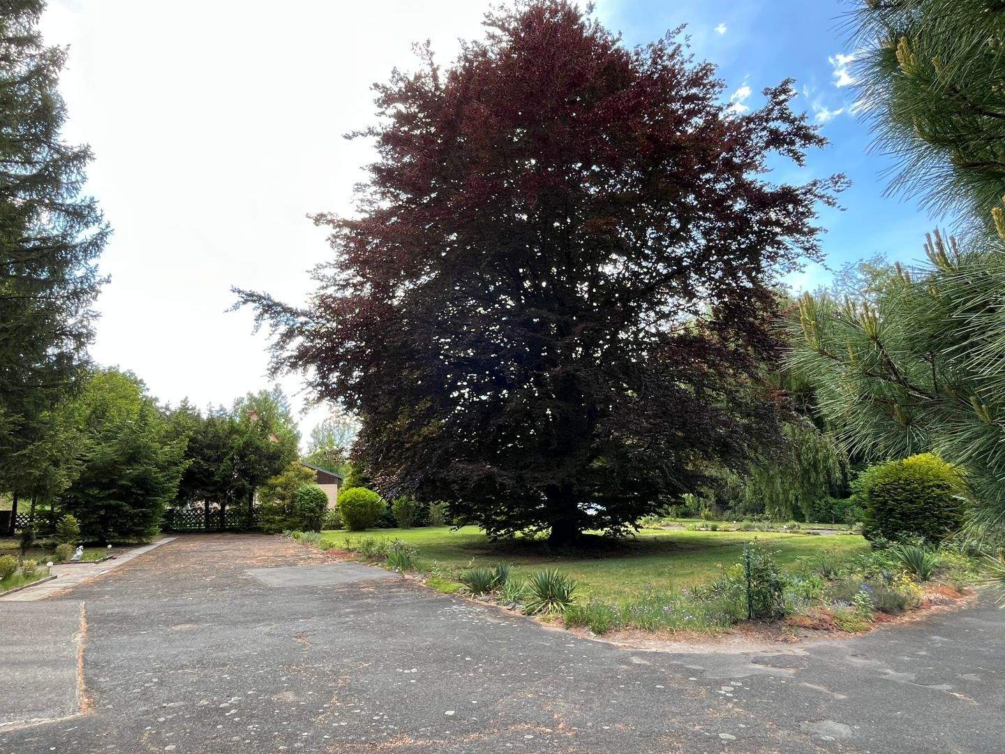 Immobilie in Mistelbach - Leben mit Stil auf repräsentativen Anwesen mit parkähnlicher Außenanlage südwestlich von Bayreuth - Bild 21