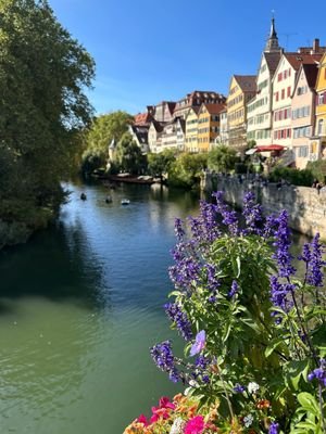 Tübingen am Neckar.JPG