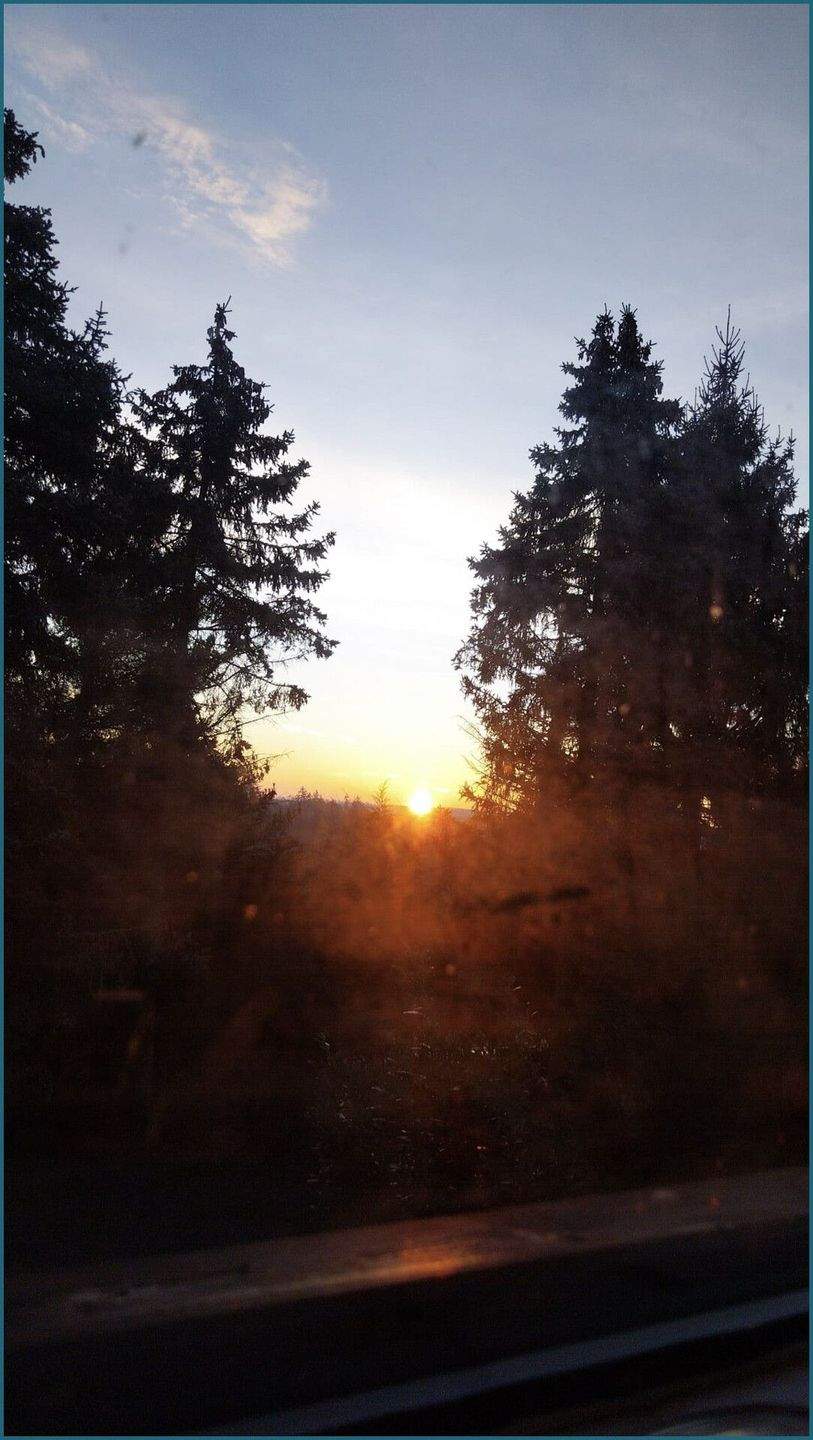 Immobilie in Mansfeld - Charmantes "Tiny House" für Naturliebhaber - Bild 17