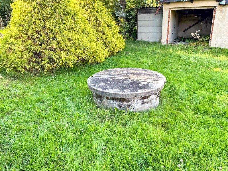 Immobilie in Leutersdorf - Für Sie und ... Ihre Tiere? - Bild 20