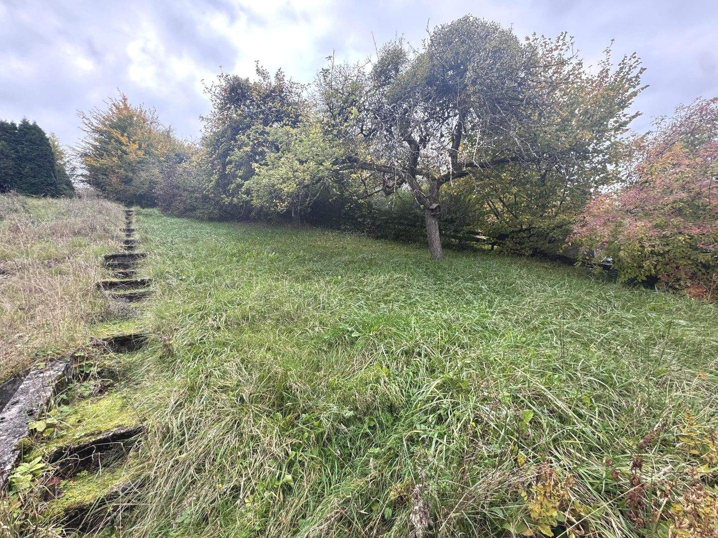 Immobilie in Bitburg - Mit Charme und Gemütlichkeit in naturnaher Lage! - Bild 16