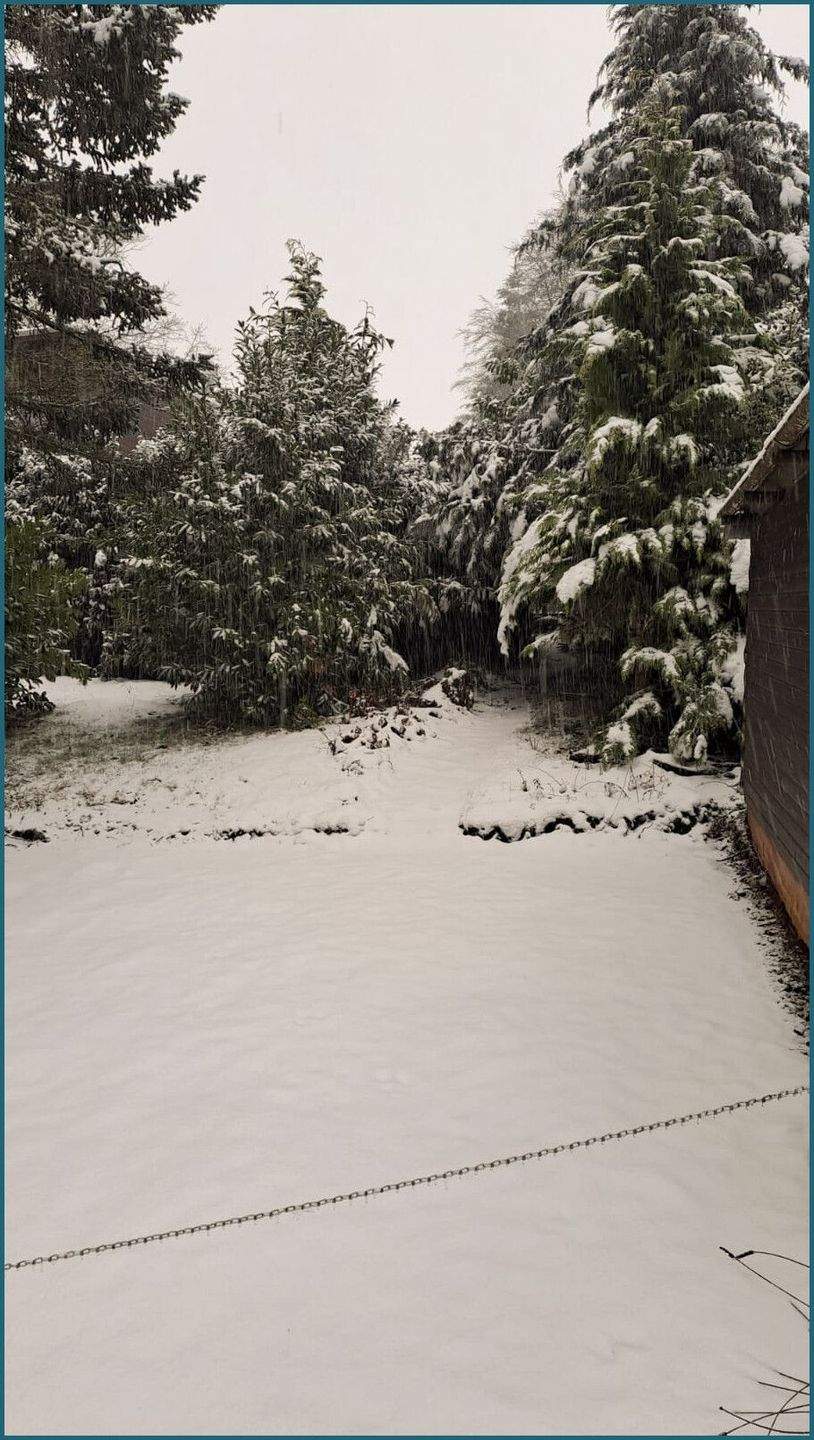 Immobilie in Mansfeld - Charmantes "Tiny House" für Naturliebhaber - Bild 26