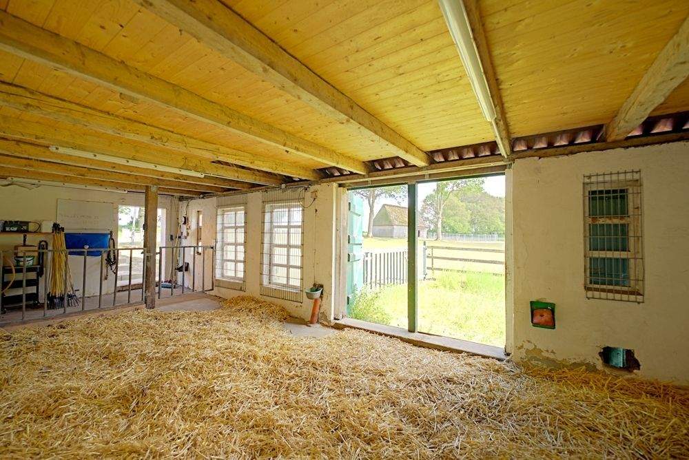 Immobilie in Deinstedt - Anwesen mit positivem Bauvorbescheid - Gewerbe, Wohnen & Tierhaltung in Kombination möglich - Bild 10