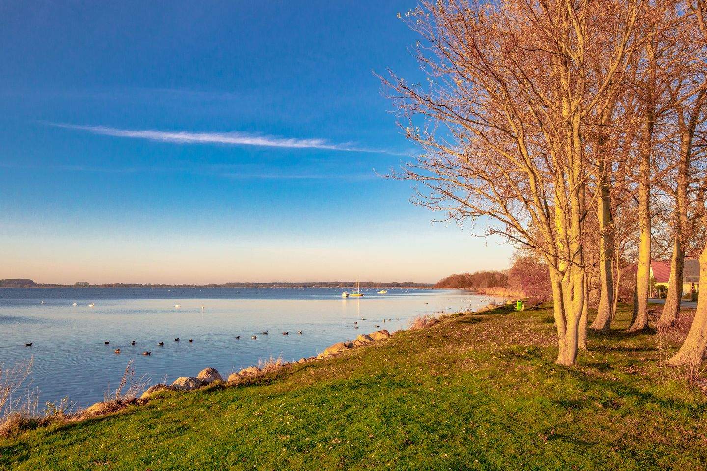 Immobilie in Altenkirchen - Villa mit zwei Luxuswohneinheiten in der ersten Reihe zum Wasser… - Bild 3