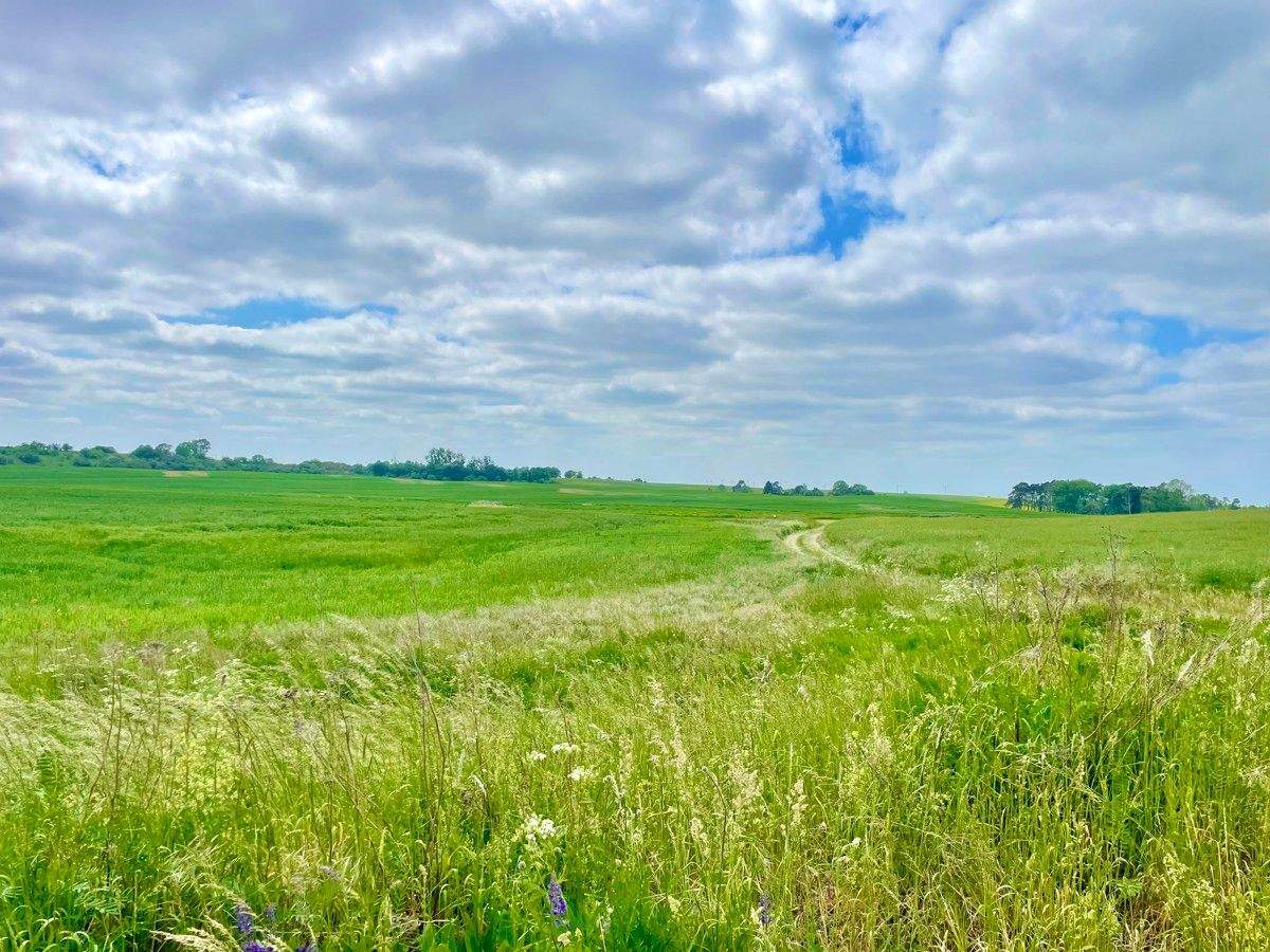 Immobilie in Grambow - HORN IMMOBILIEN ++ Einfamilienhaus in Sonnenberg in ruhige Lage - Bild 2