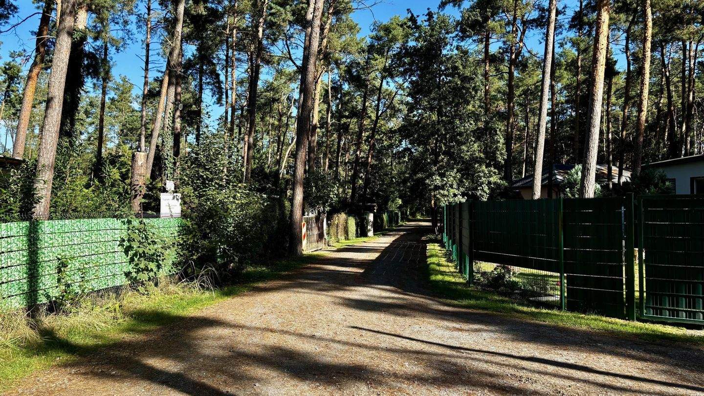 Immobilie in Zschepplin - Gestalten Sie Ihr Refugium im Grünen! - Bild 19