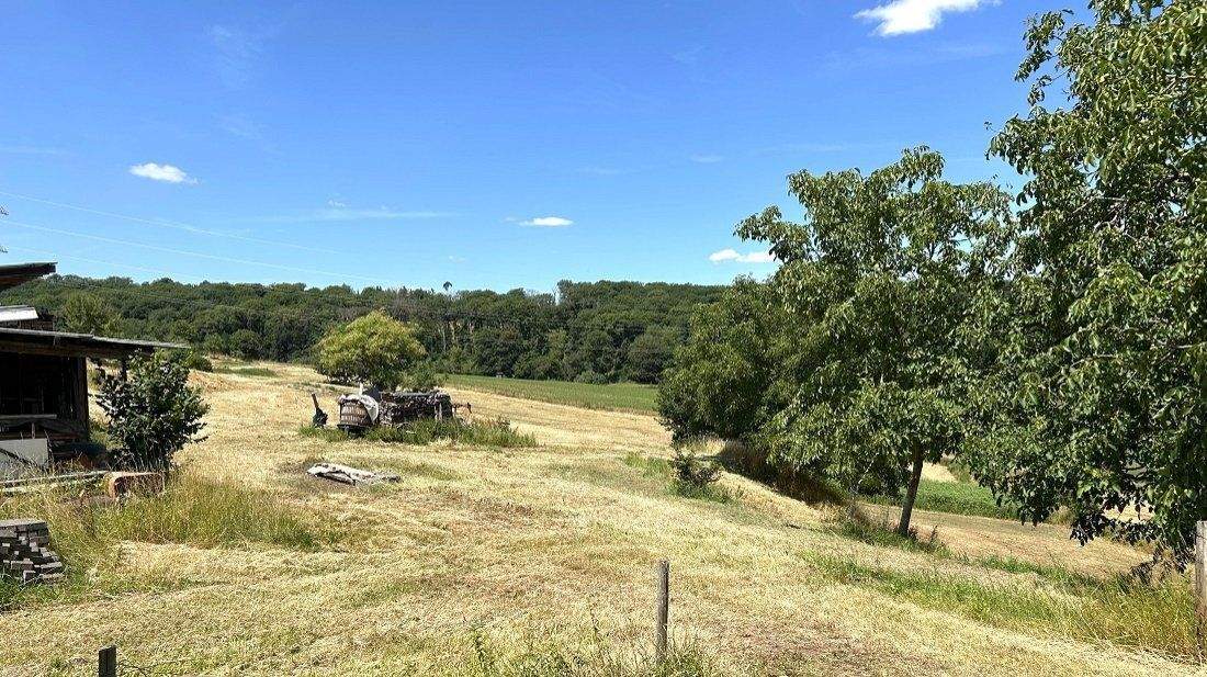 Immobilie in Altrich - zwei Wohnhäuser und rd. 20.000 qm Land direkt am Haus (Nähe zur Stadt Wittlich 5 km) - Bild 28