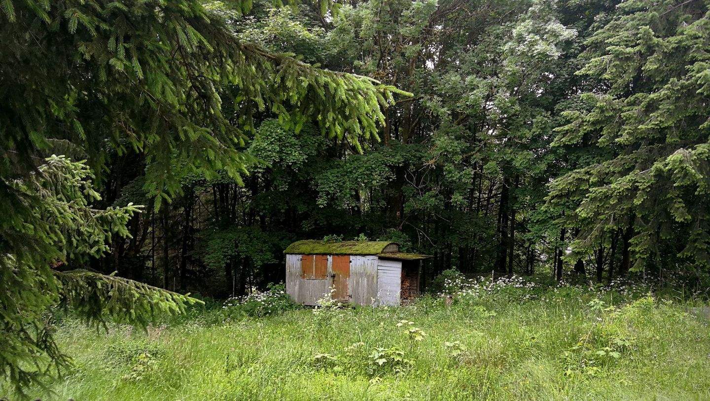 Immobilie in Suhl - Wohnen inmitten der Ski- und Wanderregion Suhl-Goldauter - Ihre Bauideen sind realisierbar - Bild 6