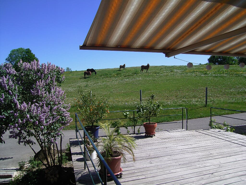 Immobilie in Witzmannsberg - Gepflegtes Reiteranwesen m. Pension/Wohnhaus u. 18.700 qm, idyllischer ruhiger Lage im oberen Ilztal - Bild 4