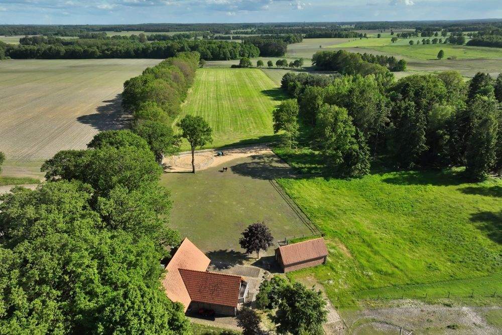 Immobilie in Deinstedt - Anwesen mit positivem Bauvorbescheid - Gewerbe, Wohnen & Tierhaltung in Kombination möglich - Bild 9