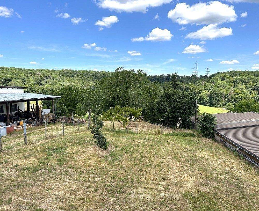 Immobilie in Altrich - zwei Wohnhäuser und rd. 20.000 qm Land direkt am Haus (Nähe zur Stadt Wittlich 5 km) - Bild 6