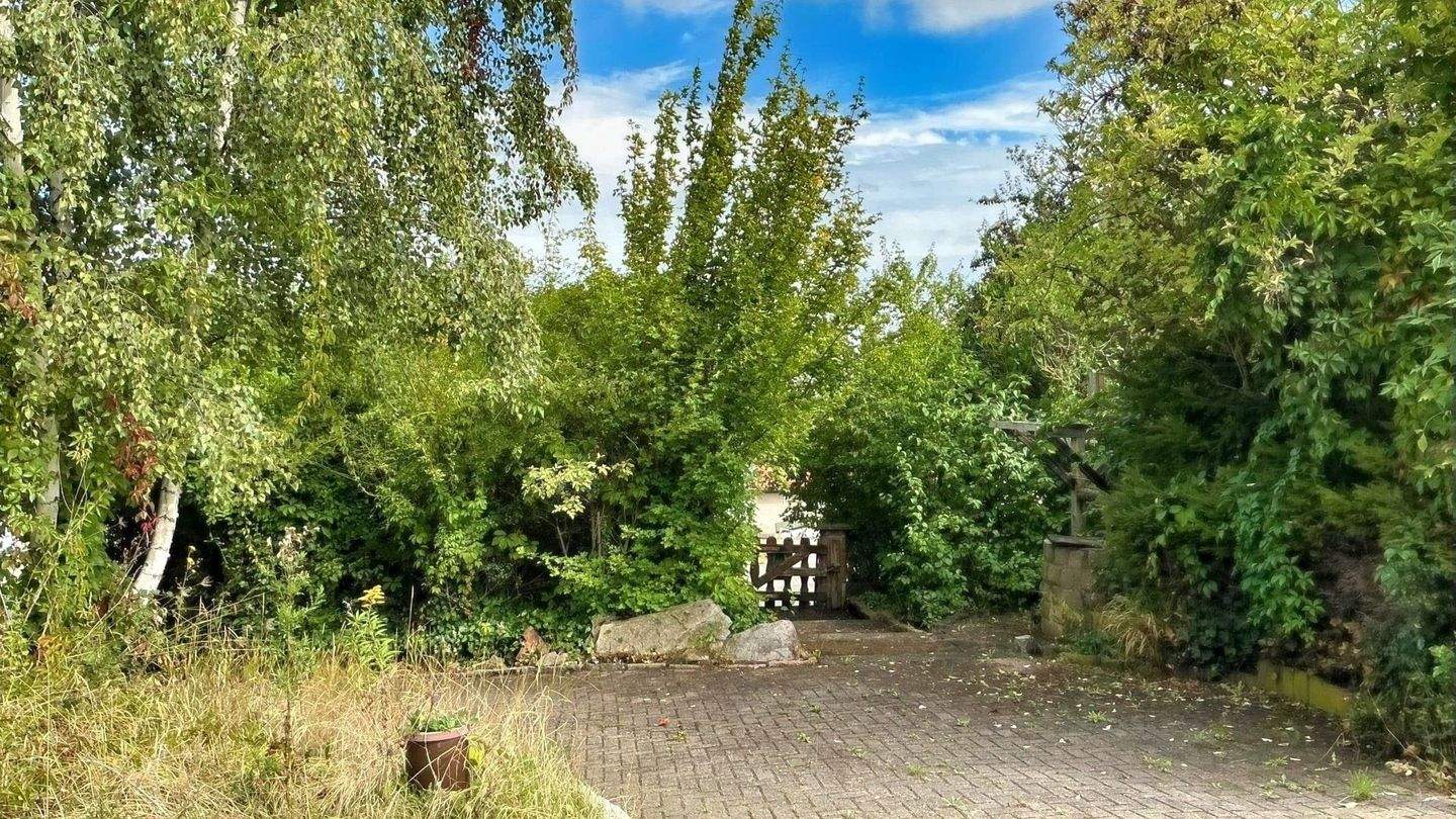 Immobilie in Mücheln (Geiseltal) - Einfamilienhaus mit Seeblick - Bild 6