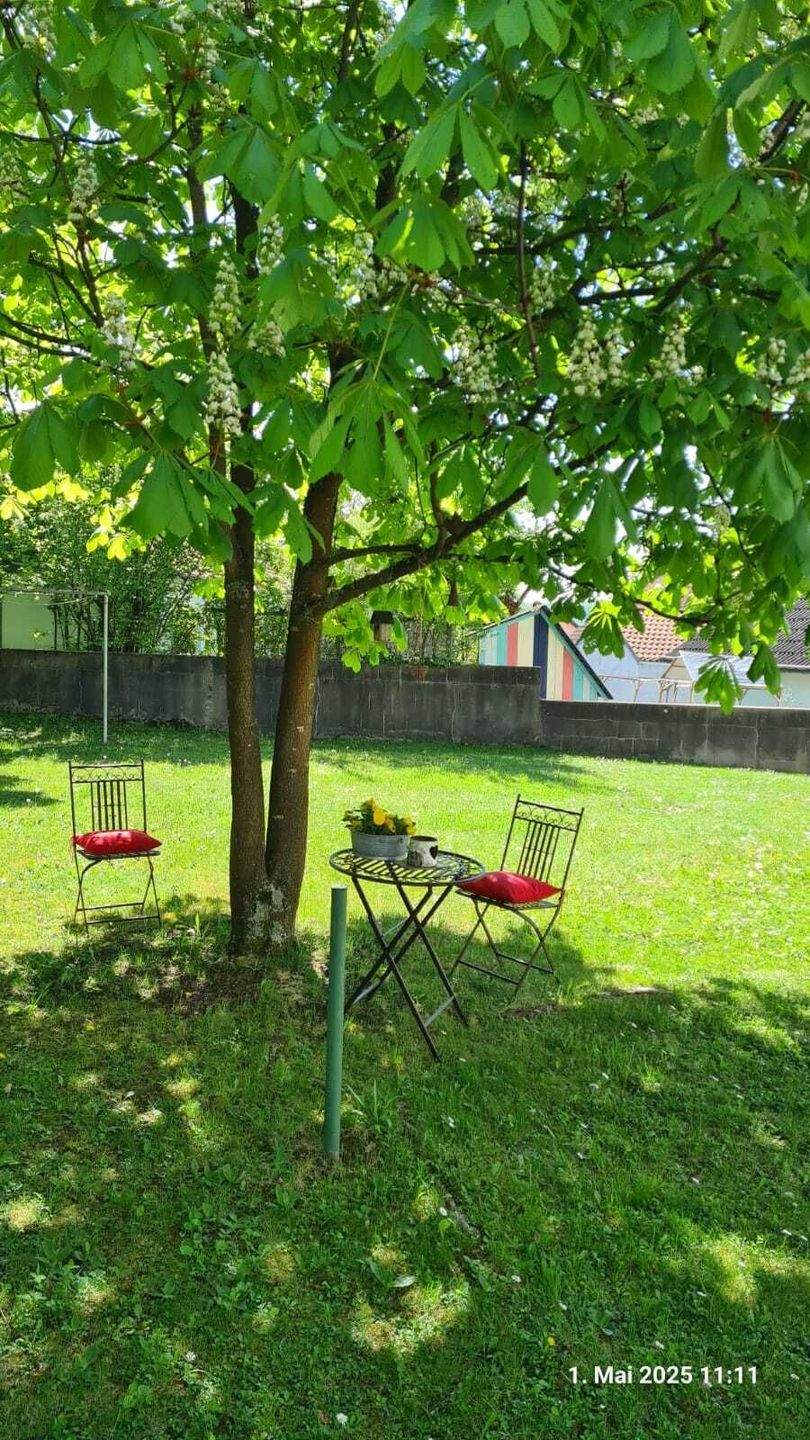 Immobilie in Arnstein - Schön geschnittene 2-Zimmerwohnung in Arnstein - Bild 6