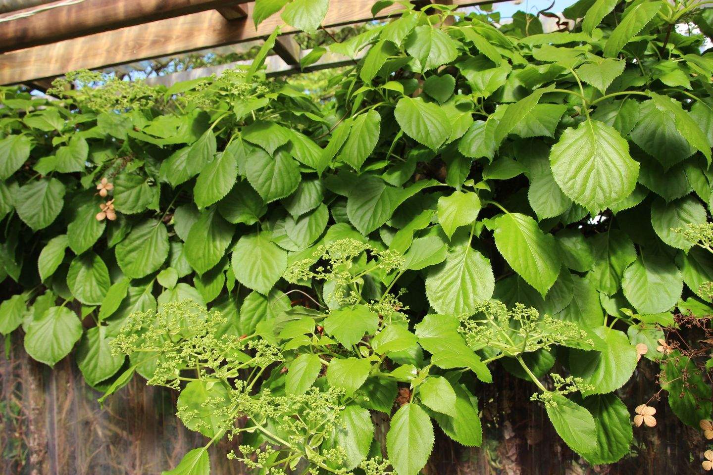 Immobilie in Tostedt - Grosses Einfamilienhaus mit Garage und riesigem Garten in guter Lage von Tostedt - Bild 27