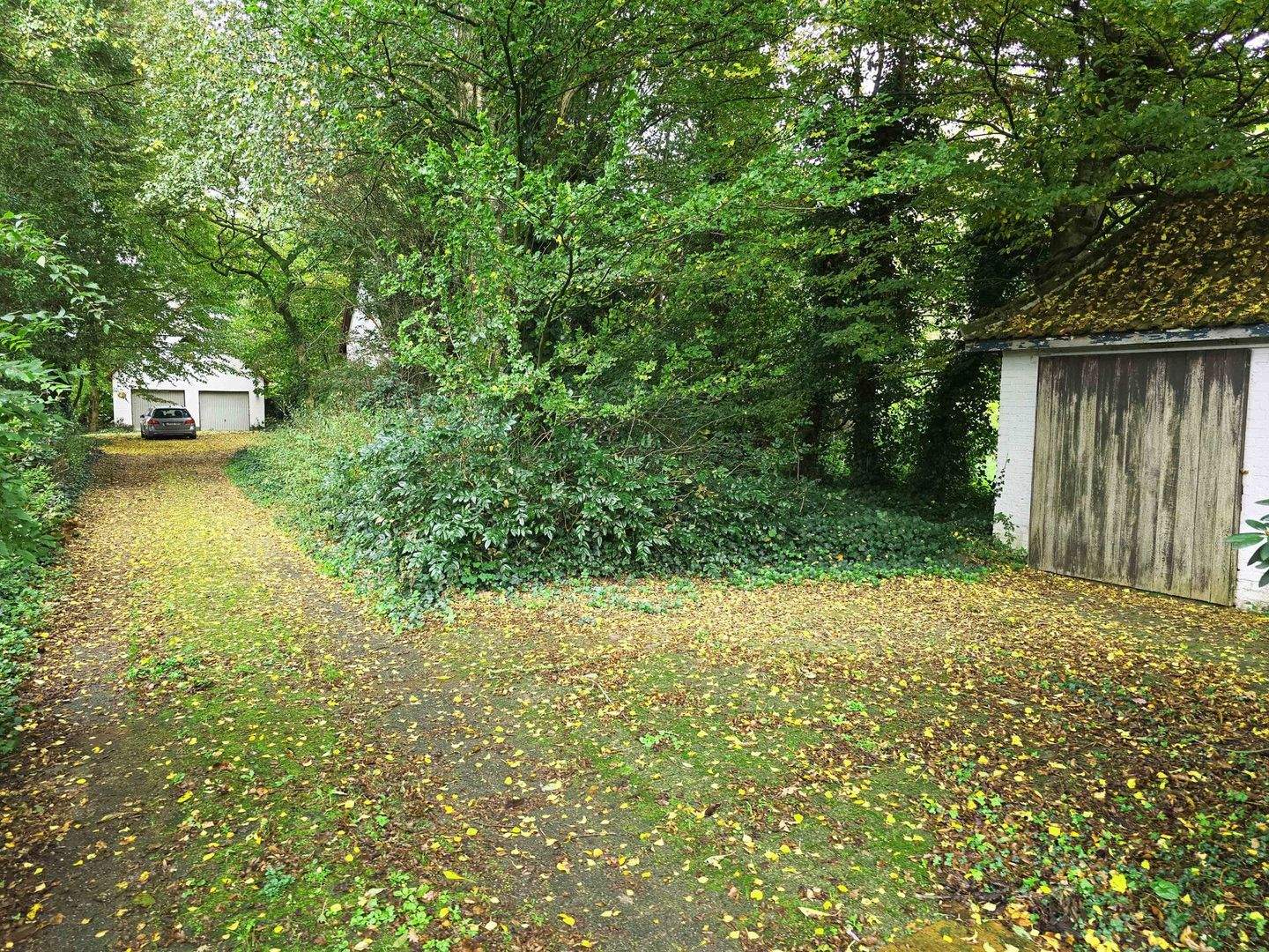 Immobilie in Bersenbrück - Geschichte & Natur - Erholung pur! - Bild 7