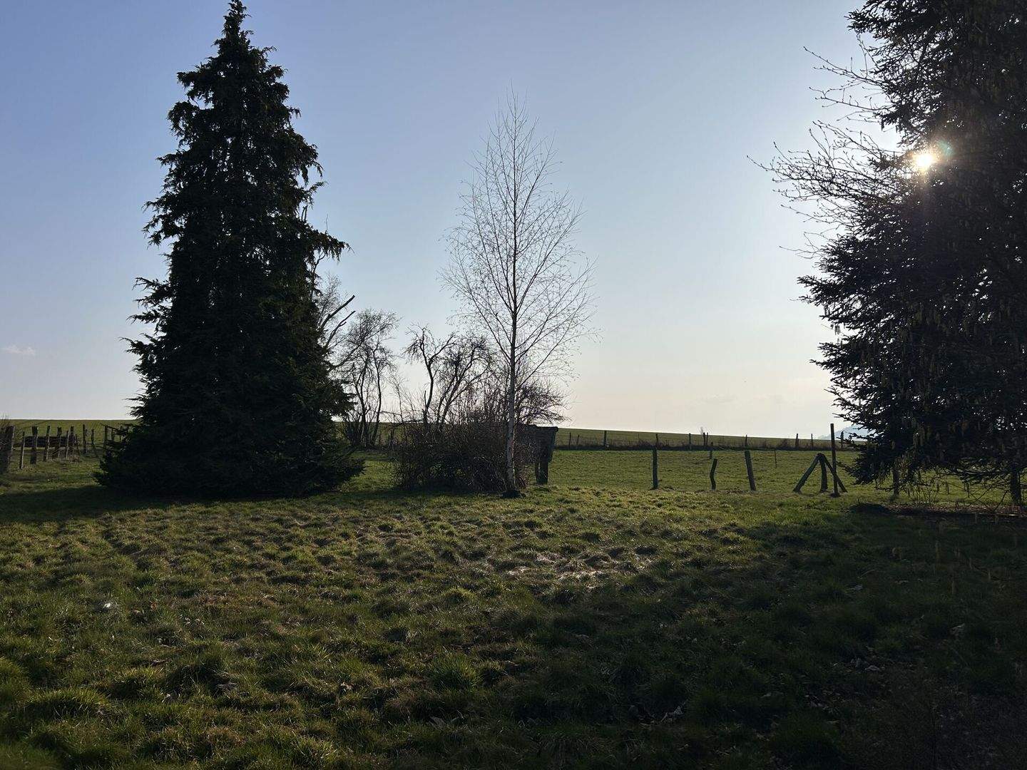 Immobilie in Borgentreich - Vielseitiges Wohnhaus mit großzügigem Anwesen am Rande von Rösebeck - Bild 16