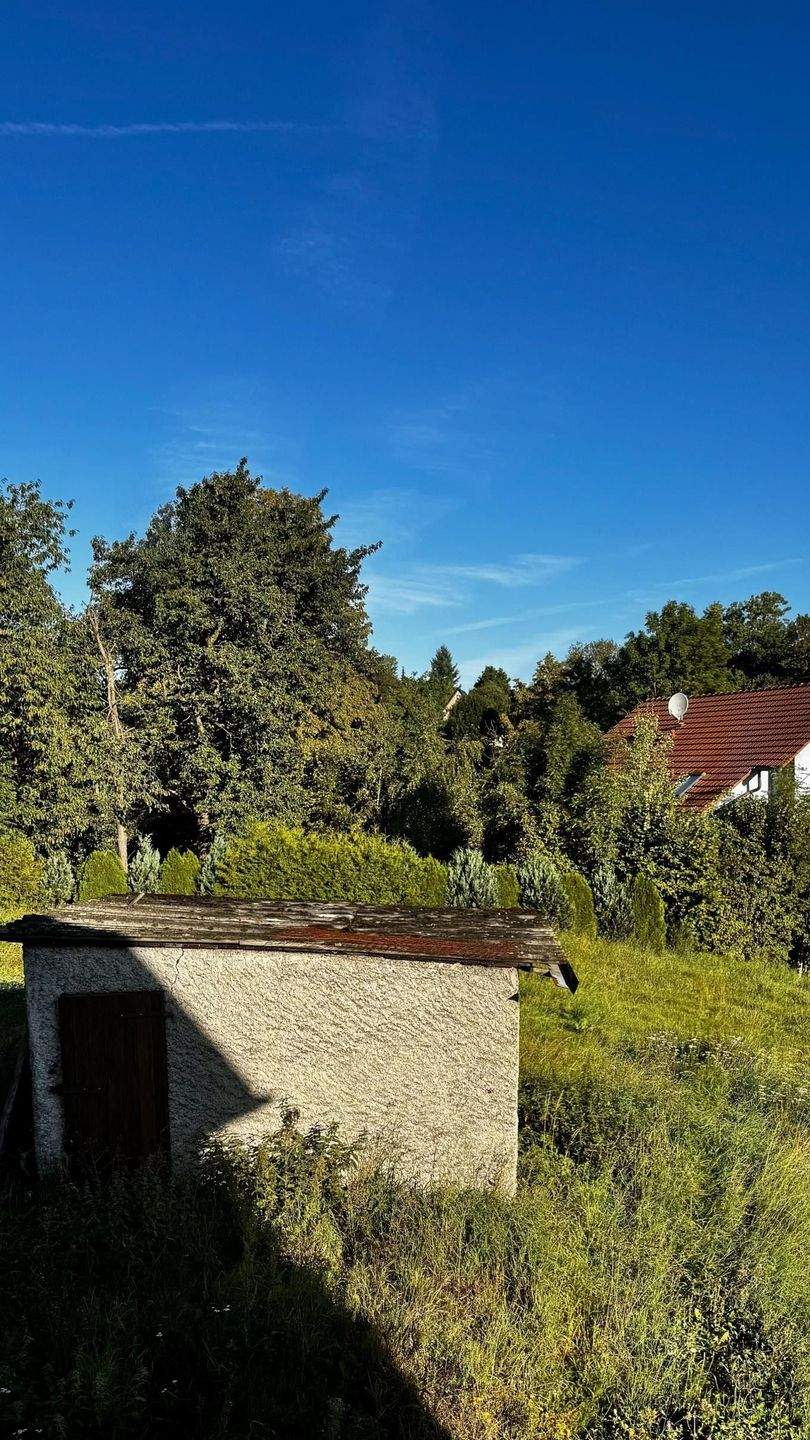 Immobilie in Hainichen - Hier sind Ihre Ideen gefragt! - Bild 8