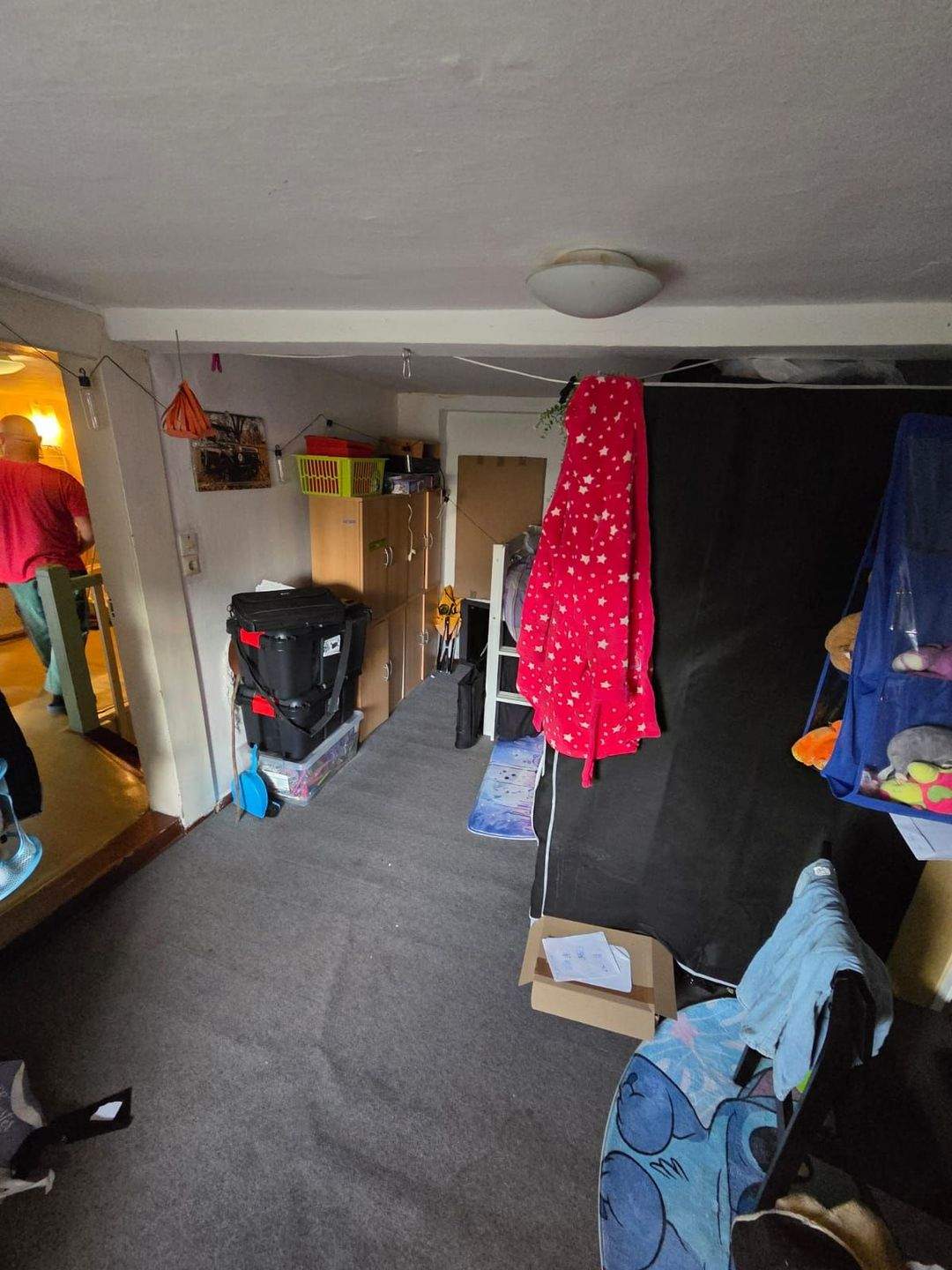 Immobilie in Elsteraue - Einfamilienwohnhaus in Reuden - Bild 27