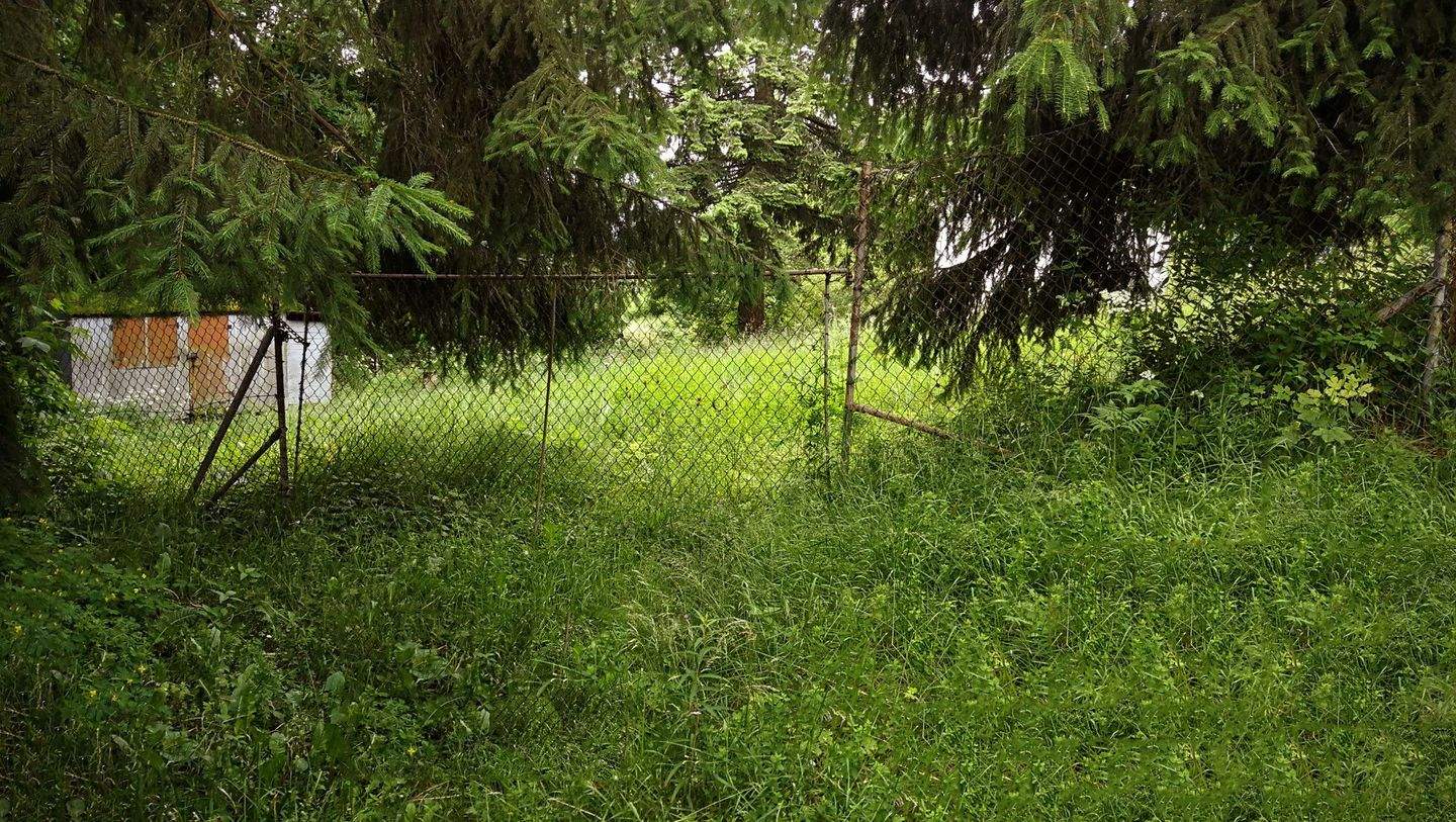 Immobilie in Suhl - Wohnen inmitten der Ski- und Wanderregion Suhl-Goldauter - Ihre Bauideen sind realisierbar - Bild 2