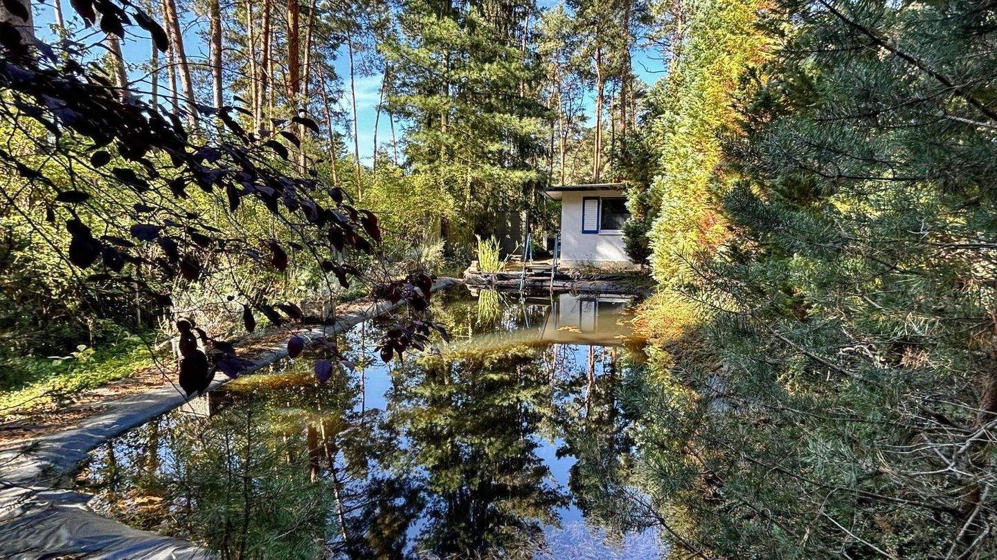 Immobilie in Zschepplin - Gestalten Sie Ihr Refugium im Grünen! - Bild 3