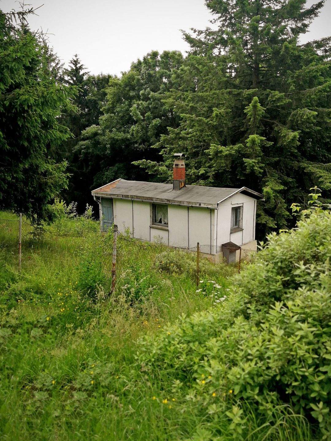 Immobilie in Suhl - Wohnen inmitten der Ski- und Wanderregion Suhl-Goldauter - Ihre Bauideen sind realisierbar - Bild 5