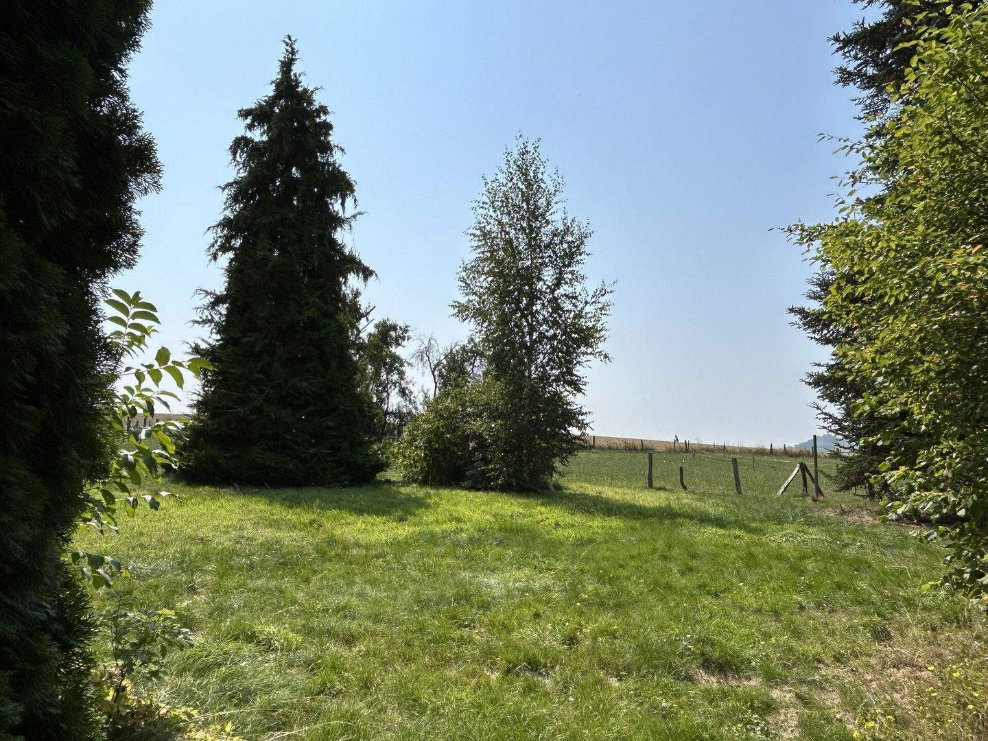 Immobilie in Borgentreich - Vielseitiges Wohnhaus mit großzügigem Anwesen am Rande von Rösebeck - Bild 6