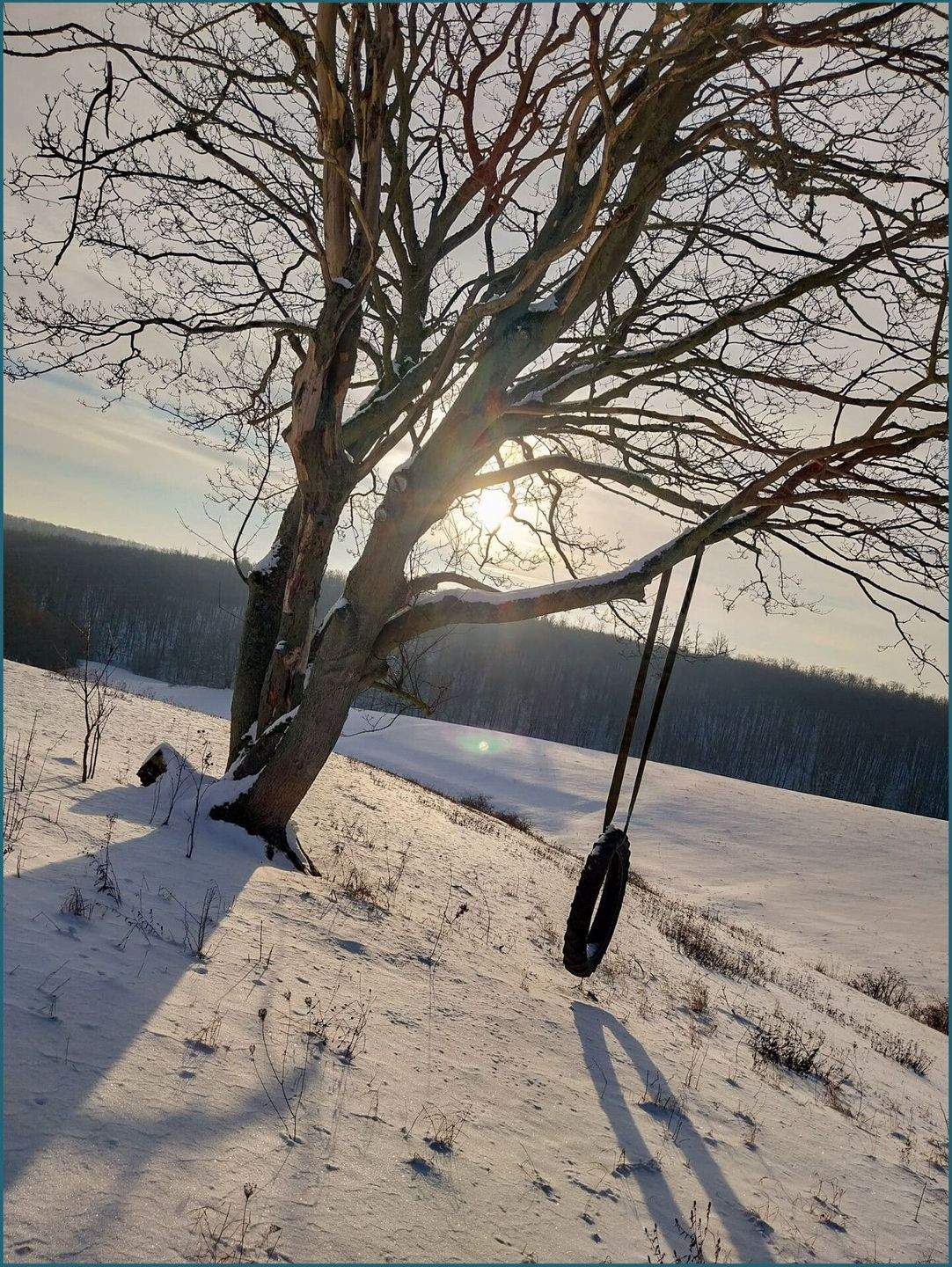 Immobilie in Mansfeld - Charmantes "Tiny House" für Naturliebhaber - Bild 25