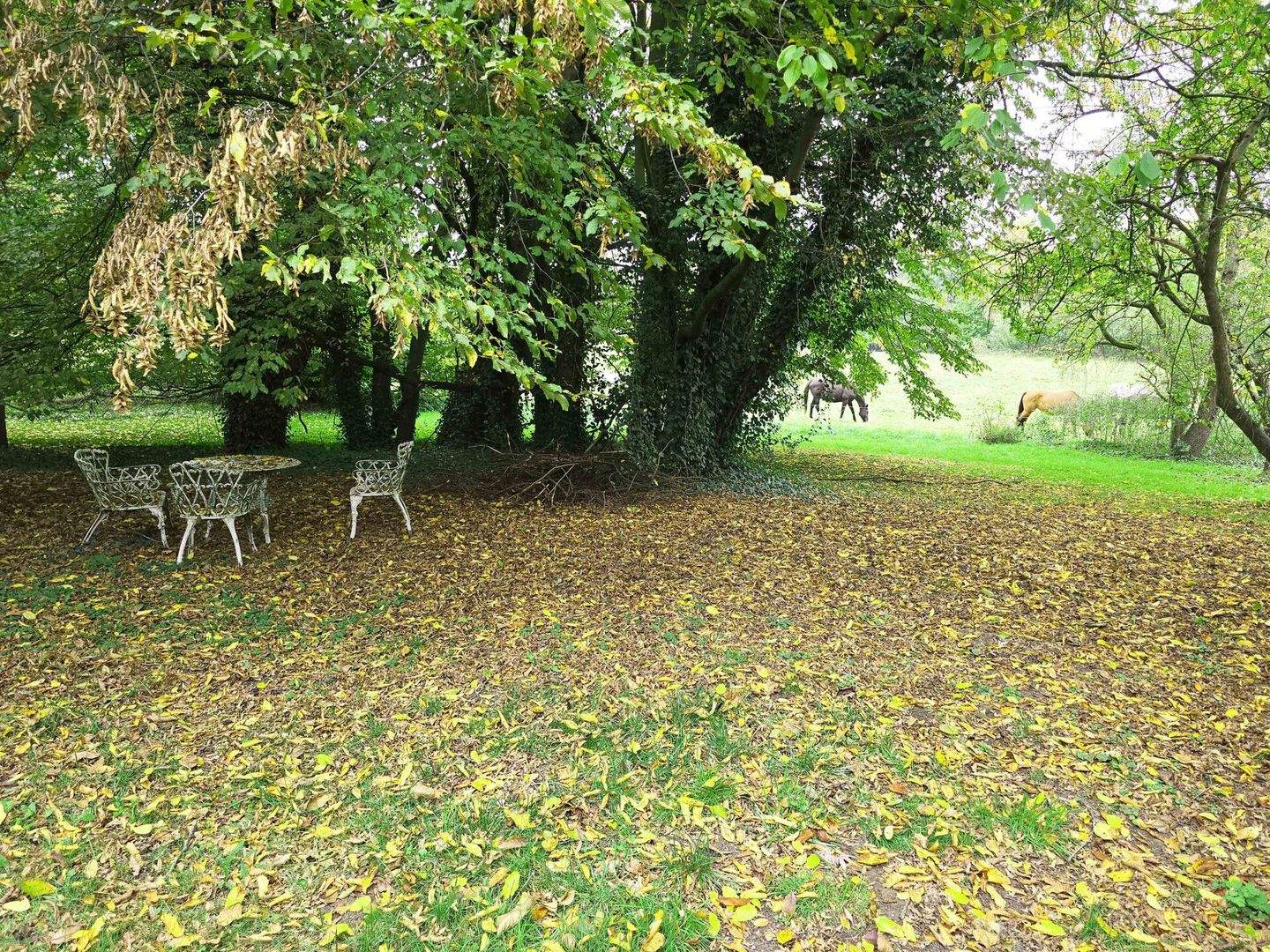 Immobilie in Bersenbrück - Geschichte & Natur - Erholung pur! - Bild 5